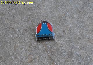 FUJI pin