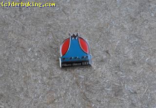 FUJI pin