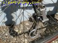 NR derailleur with Rally cage plates